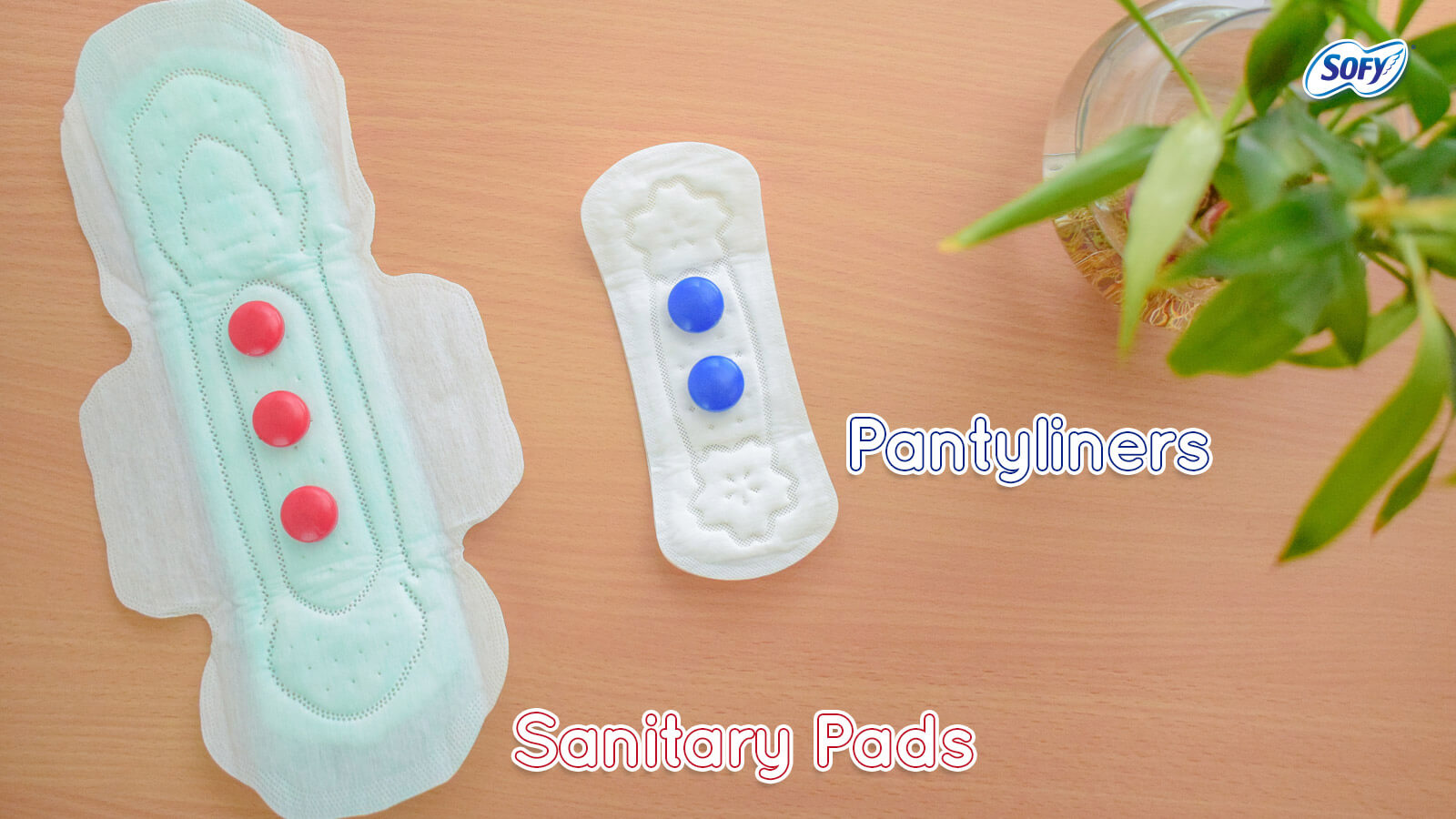 How to put a sanitary pad into panty during your period 